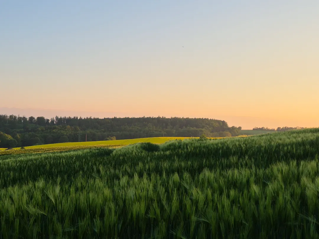 Blick über Natingen und die umliegende Landschaft