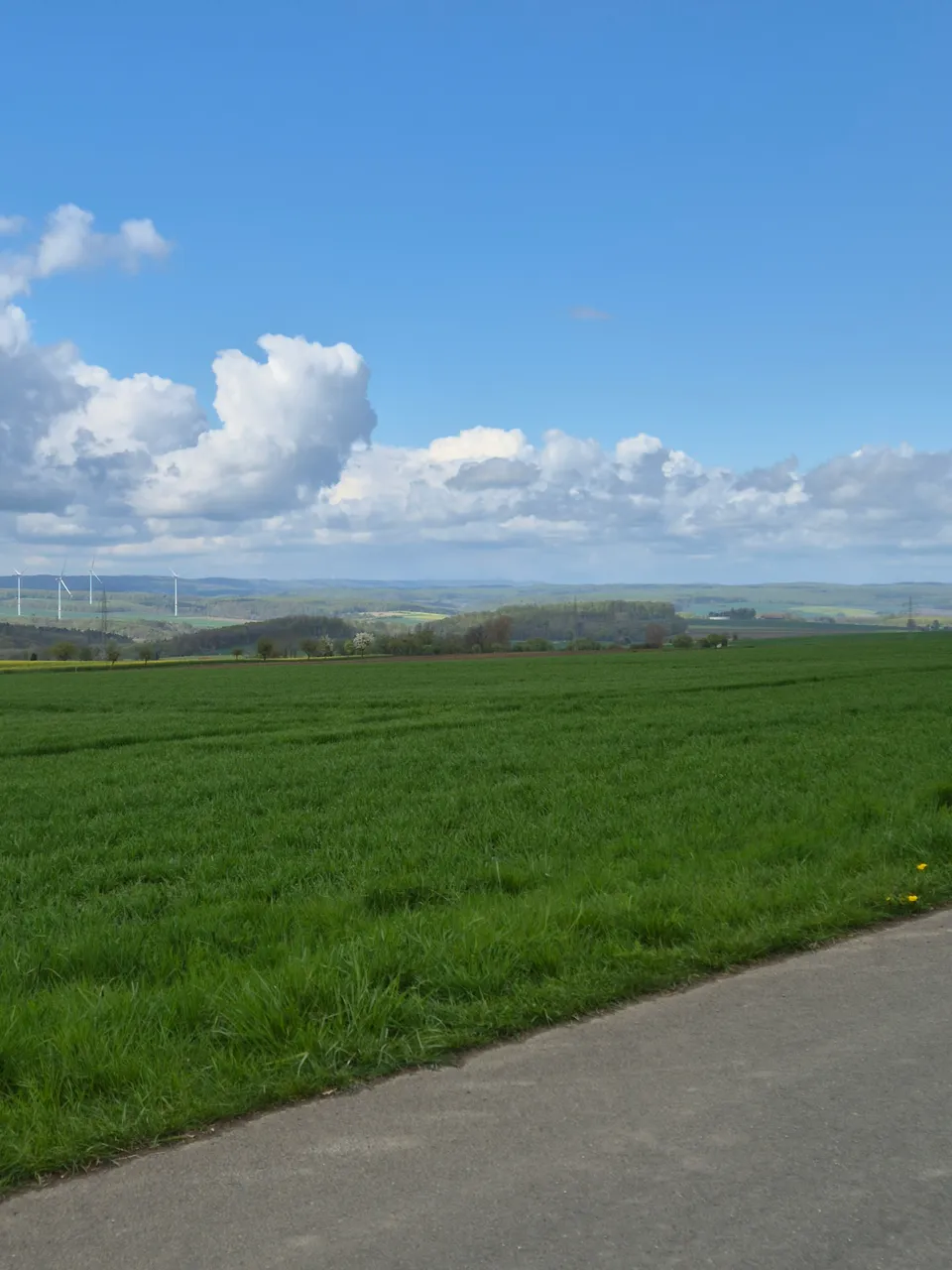 Landschaft bei Natingen